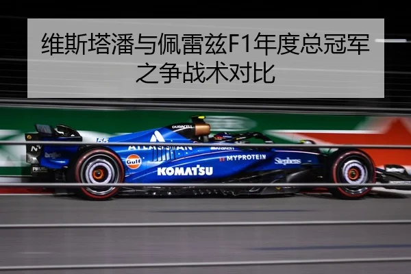 维斯塔潘与佩雷兹F1年度总冠军之争战术对比